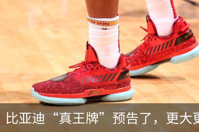 比亚迪“真王牌”预告了，更大更强或7万级！